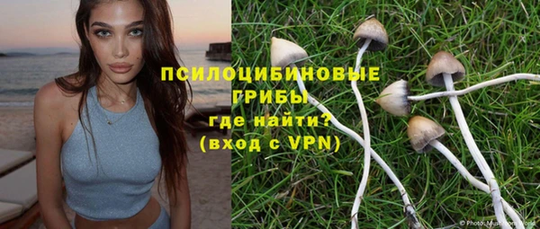 a pvp Дмитров