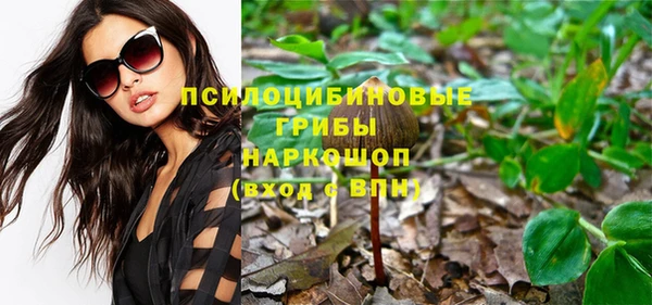 a pvp Дмитров