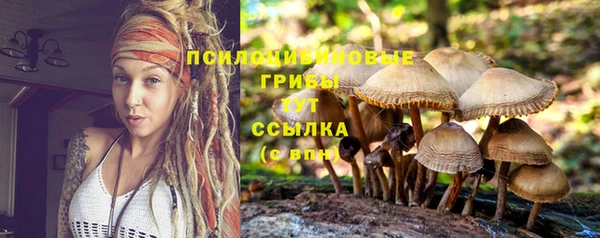 MDMA Premium VHQ Дмитриев
