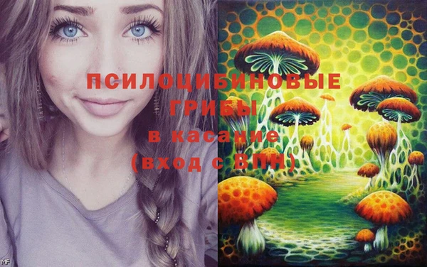 дмт Дмитровск