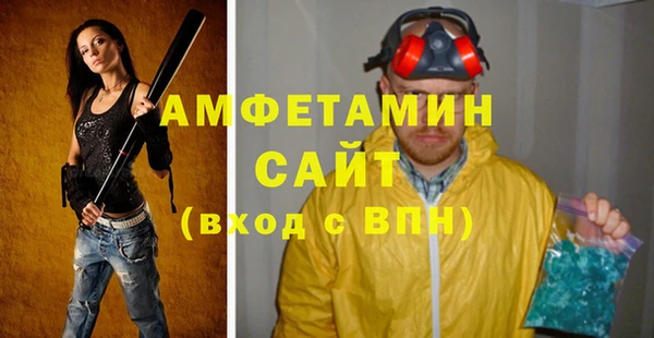 дмт Дмитровск